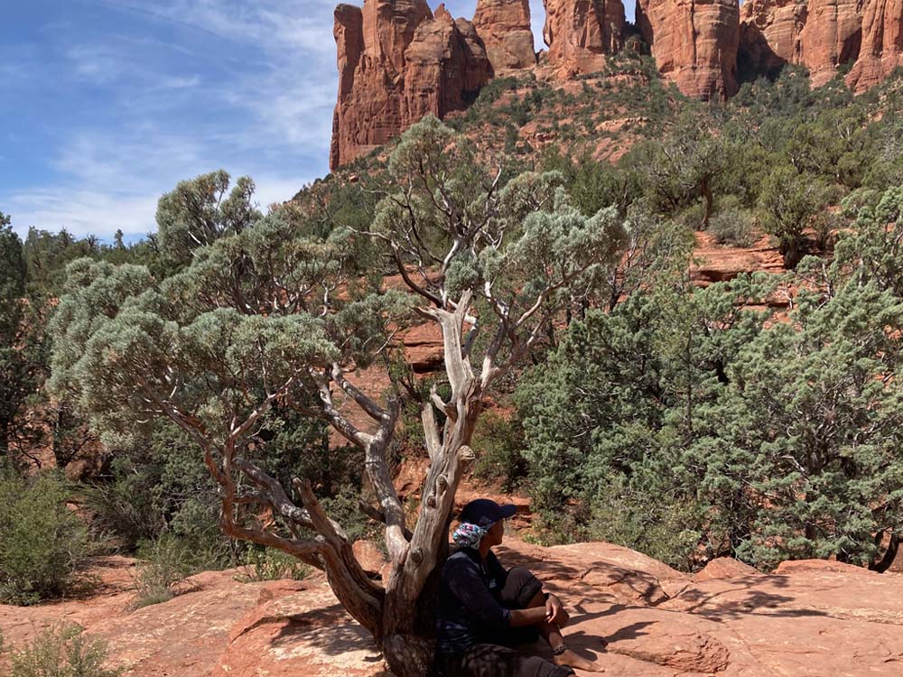 shawngela-pierce-under-a-tree-in-sedona-1000x750 image Who we Serve